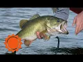 Pro Bass Fisherman shares weather strategy secrets AccuWeather
