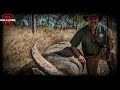 5 Rifles Engineered for Absolute Destruction | Long-Range to Dangerous Game Power