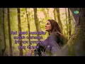 Meri Sansaon Main with lyrics |मेरी सैन्सन में बसा के बोल | Alka Yagnik | Aur Pyar Ho Gaya | HD Song