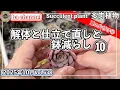 Download Lagu 638{多肉植物} 解体か？仕立て直しか？決め手はなに？【多肉事】【鉢減らし】【夏の被害】【ba多肉】【baチャンネル】【Succulent】