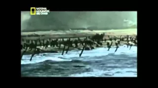 نزول الحلفاء في سواحل نورماندي 1944 