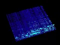 hyperspeed (Official Vizualizer)