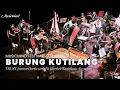 Download Lagu Burung Kutilang - Childhood Adventure