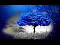 Download Lagu For a moment in Paradise ♫ Original song by Dimitrios Kyriakopoulos