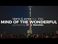 Blank \u0026 Jones feat. Elles - MIND OF THE WONDERFUL (powered by Maia Melodies)