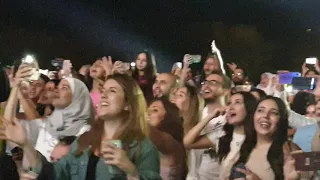 تكة ناصيف زيتون Nassif Zeytoun Takke 