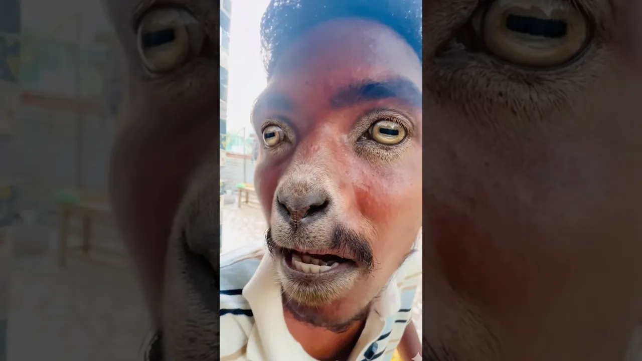 నిజమే కద 💯 | Twist🤣