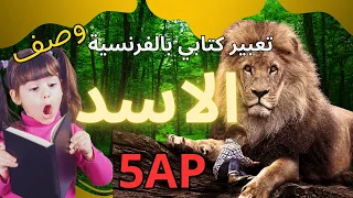 تعبير كتابي بالفرنسية في وصف الاسد خامسة ابتدائي Décrire Le Lion5AP 
