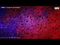 Egbert - Haasten (10 Jaar LIVE Remix)