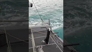 ‘It is an animal’ #luxuryyachtlife #yachtracing #yachtlife #sailing #luxurylifestyle #boating