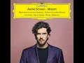 Mozart: Le nozze di Figaro, K. 492, Act I: No. 10, Non più andrai