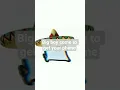 Download Lagu your phone linging