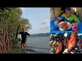 Download Lagu Pasang Perangkap Dapat Kakap Moster Dan Udang Besar Langsung Masak Udang Kecap