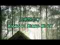 Lagu 兄弟想你了 Xiong Di Xiang Ni Le ［Tiktok + 正式版 + 抖音版本] Vietnam Version