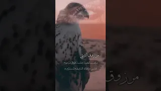 ياطير علمني شيلات متابعه اشتراك بالقناة لايك لايك اشتراك بالقناه ليصلك كل جديد Shorts 