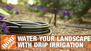 Rain Bird How to Water Your Landscape with Drip Irrigation The Home Depot