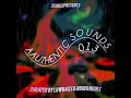 Authentic Sounds 013 mix an compiled by lowbass djy , ndibo ndibs #sgija