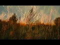 Download Lagu Brahms: 6 Piano Pieces, Op. 118 - No. 2. Intermezzo in A Major - Andante teneramente (İdil Biret)