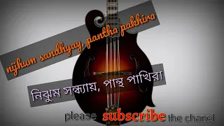 nijhum sandhyay pantho pakhira mandolin instrumental