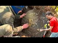oak island oak island treasure found 2026