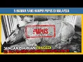 Download Lagu 5 HAIWAN YANG HAMPIR PUPUS DI MALAYSIA