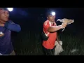 Download Lagu Berburu burung siantar saat padi selesai di panen
