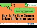 How to fix chrome driver version 111 issue Unable to establish WebSocket connection Ganesh Jadhav