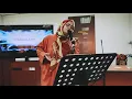 Download Lagu Medley hasil Karya LY Baiduri by Dato Royz