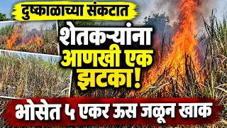 दुष्काळाच्या संकटात शेतकऱ्यांना आणखी एक झटका! भोसेत ५ एकर ऊस जळून खाक