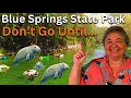 Blue Springs State Park Don t Go Until You Watch This