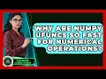 Why Are NumPy Ufuncs So Fast For Numerical Operations - AI and Machine Learning Explained