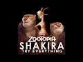 Shakira - Try Everything (Official Audio)