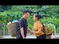 Download Lagu Harvest green beans and bananas for sale l Lý Thị Sai