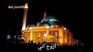 على حمص يالله ودوني  على حمص يالله ودوني