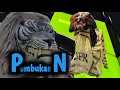 Download Lagu Sholatullah Salamullah atau Sholawat Badar● New singo putro kelono live bangunsari patebon.