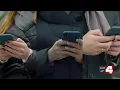 CodeRED users data possibly leaked city s say