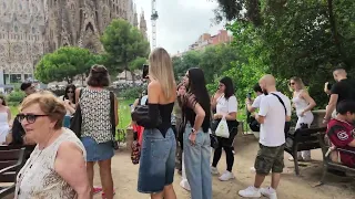                          دندنها