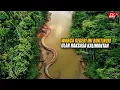 Download Lagu Terekam Jelas!! Penampakan Ular Raksasa Sepanjang 60 Meter di Sungai Kalimantan, Hebohkan Warga