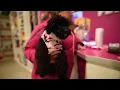 Pet Shop Ushuaia spot 2019