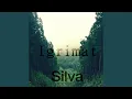 Lagu Silva (Original Mix)