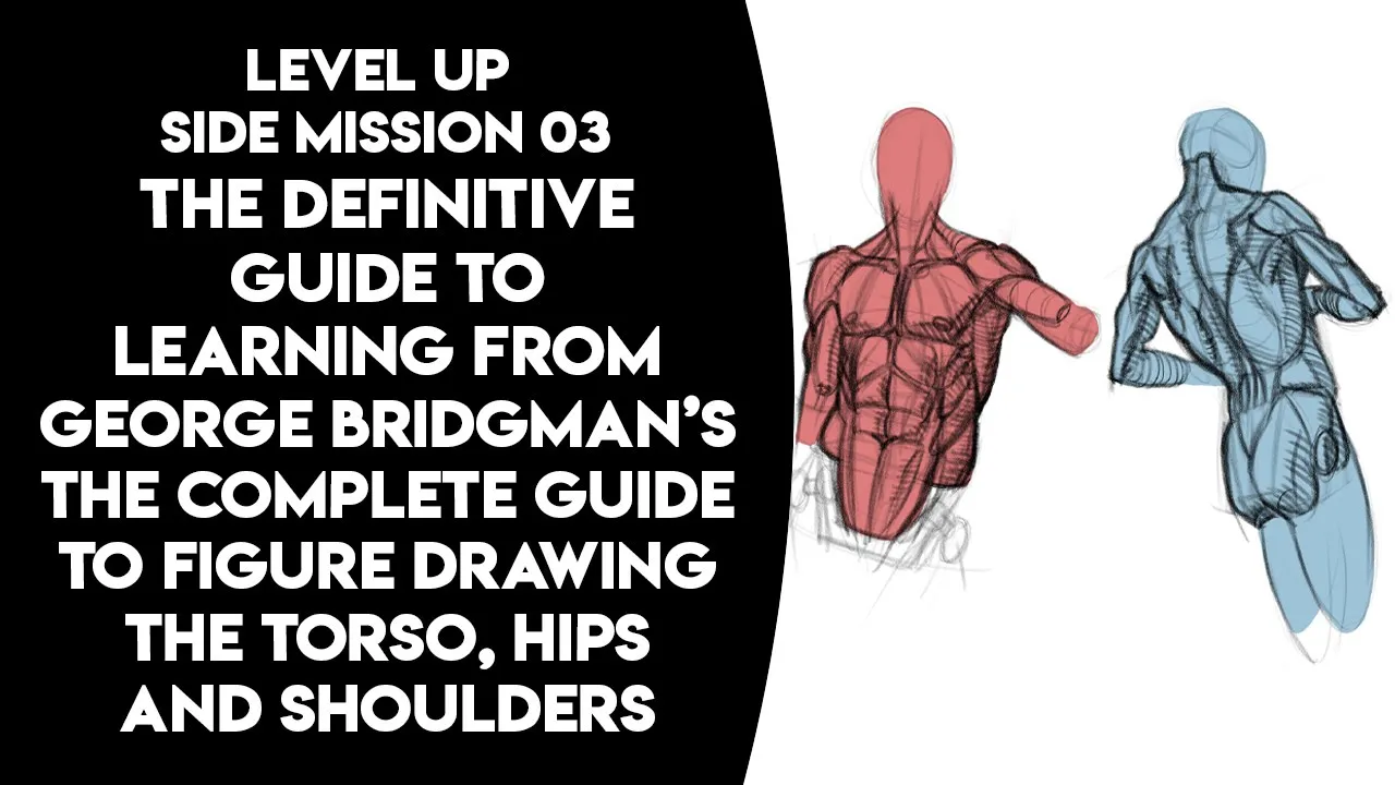 The Definitive guide to Bridgman's Torso Anatomy - Level Up Side Mission 03