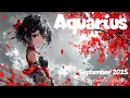 Download Lagu 🌹Aquarius~ a new job/creative endeavour brings in A LOT OF MONEY \u0026 you'll meet someone new💸❤️💸❤️💸❤️