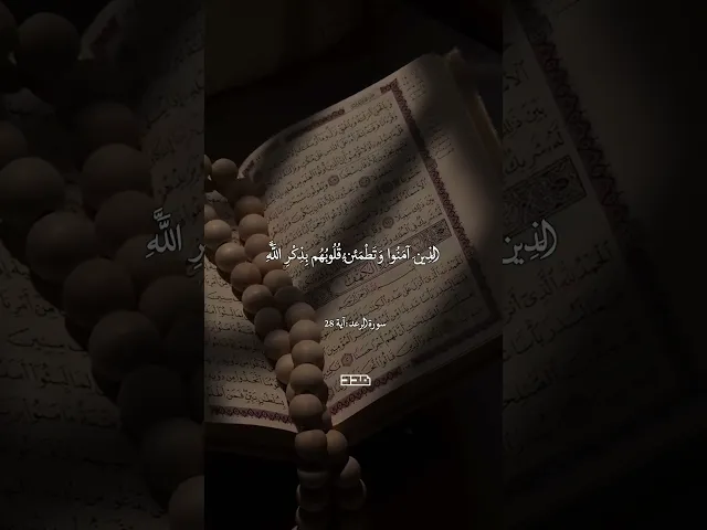 ⁣أَلا بِذِكْرِ اللَّهِ تَطْمَئِنُّ الْقُلُوب🤲🏻🍂#آيات #قرآن #تلاوة