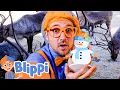 Blippi s Winter Scavenger Hunt Blippi Learns Learn Colors and Science with Blippi