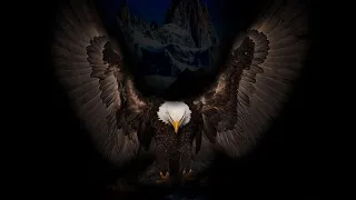 ريمكس موسيقى صقر مطلوبة Saqr Music Remix 2024 