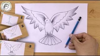 How To Draw A Dove كيف ترسم حمامة تعليم الرسم 