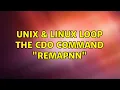 Unix Linux Loop the CDO command remapnn