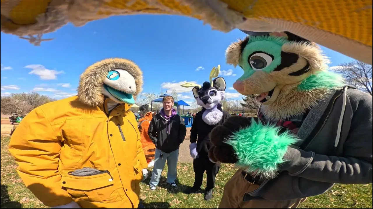 Video