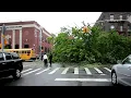 3 Hurricane Isaiah Incidents Midwood Brooklyn