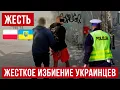 Download Lagu Жесть! В Польше украинцы возле Жабки встретили поляков и вот что получилось